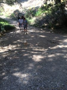 família com cachorro no caminho