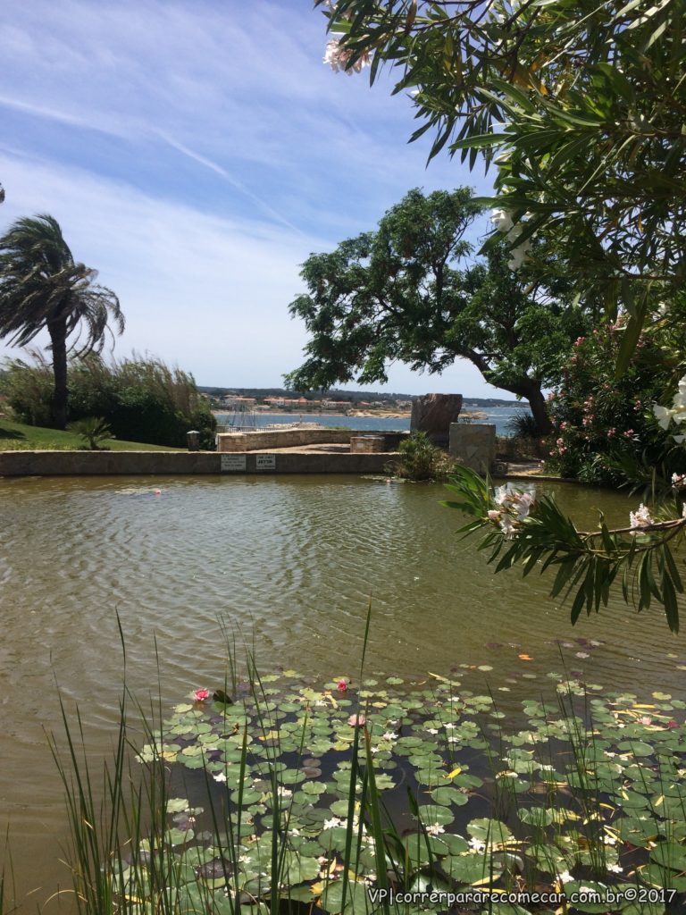 Parc de la Mediterranée