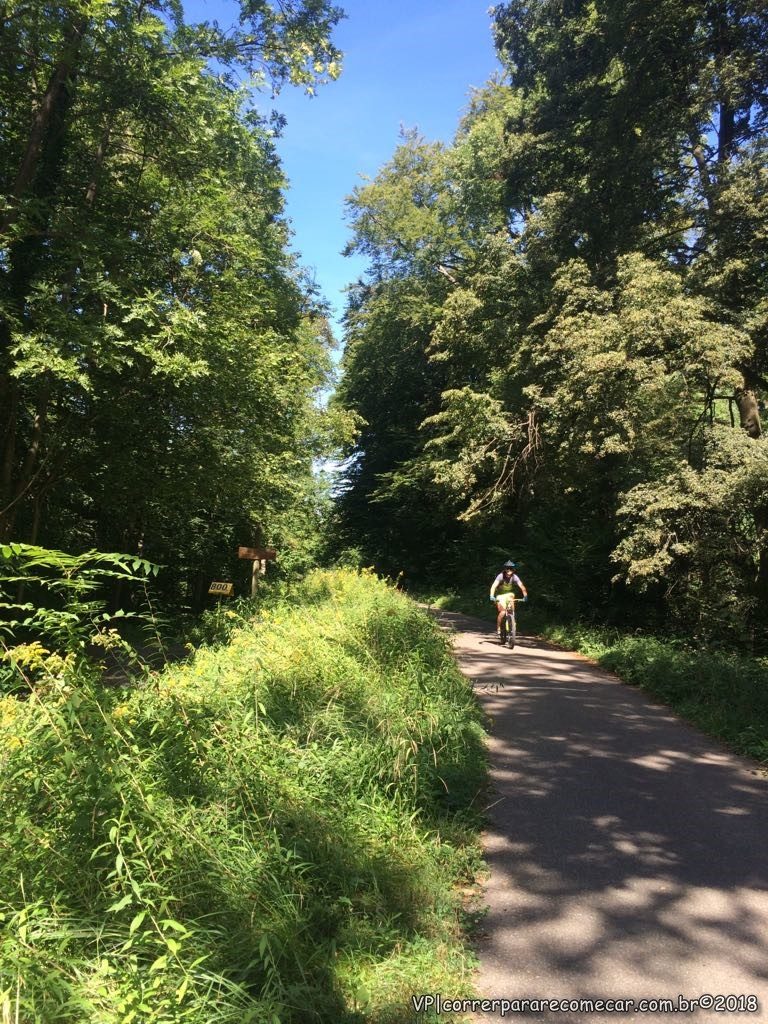 Parte do percurso Forêt de la Robertsau à Wantzenau