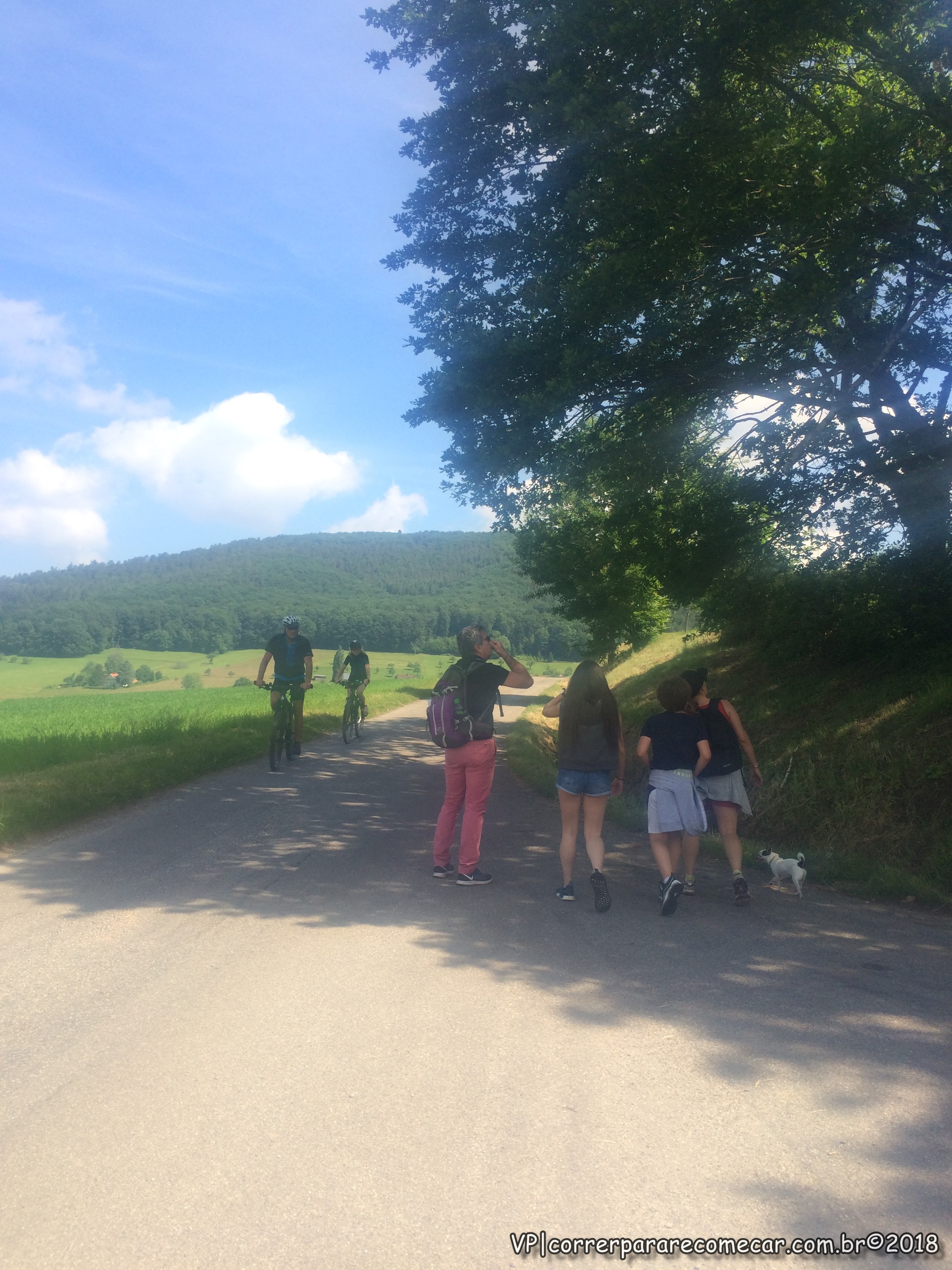 Ciclistas e caminhantes no percurso para Hohengeroldeseck