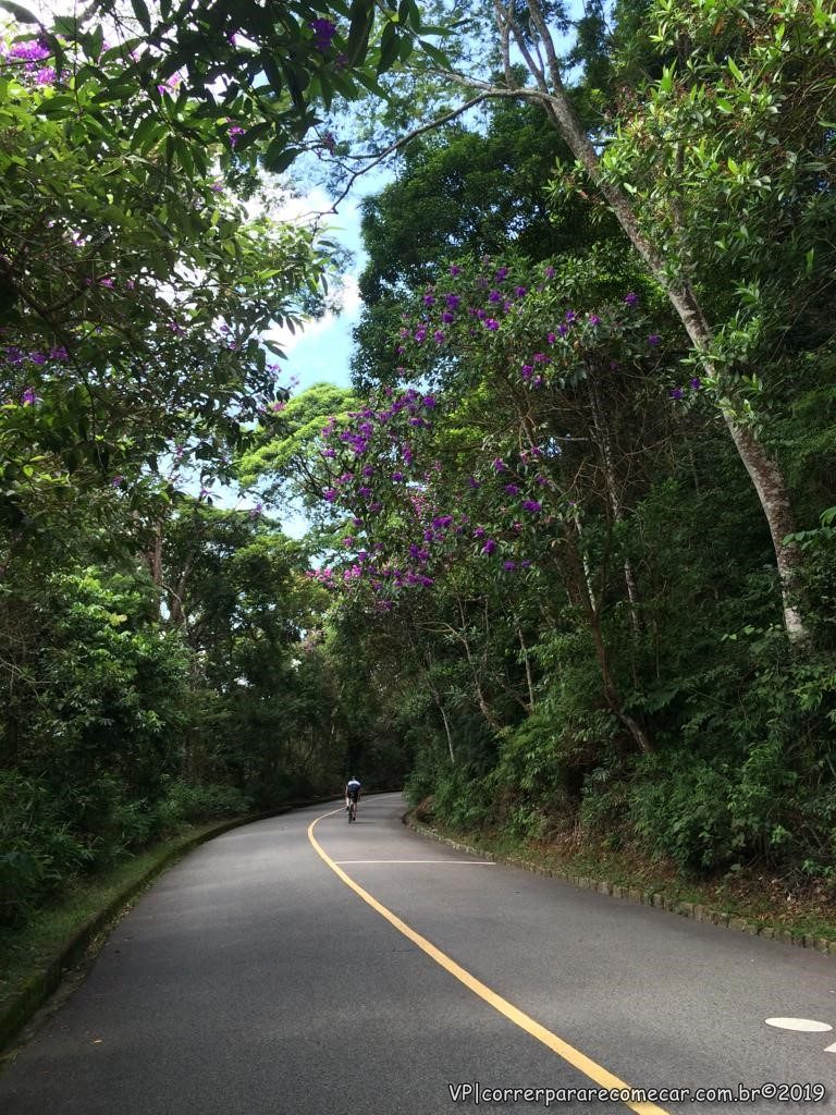 A Corrida do olhar