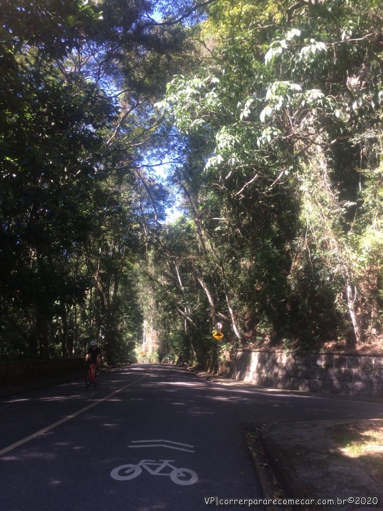 Floresta da Tijuca