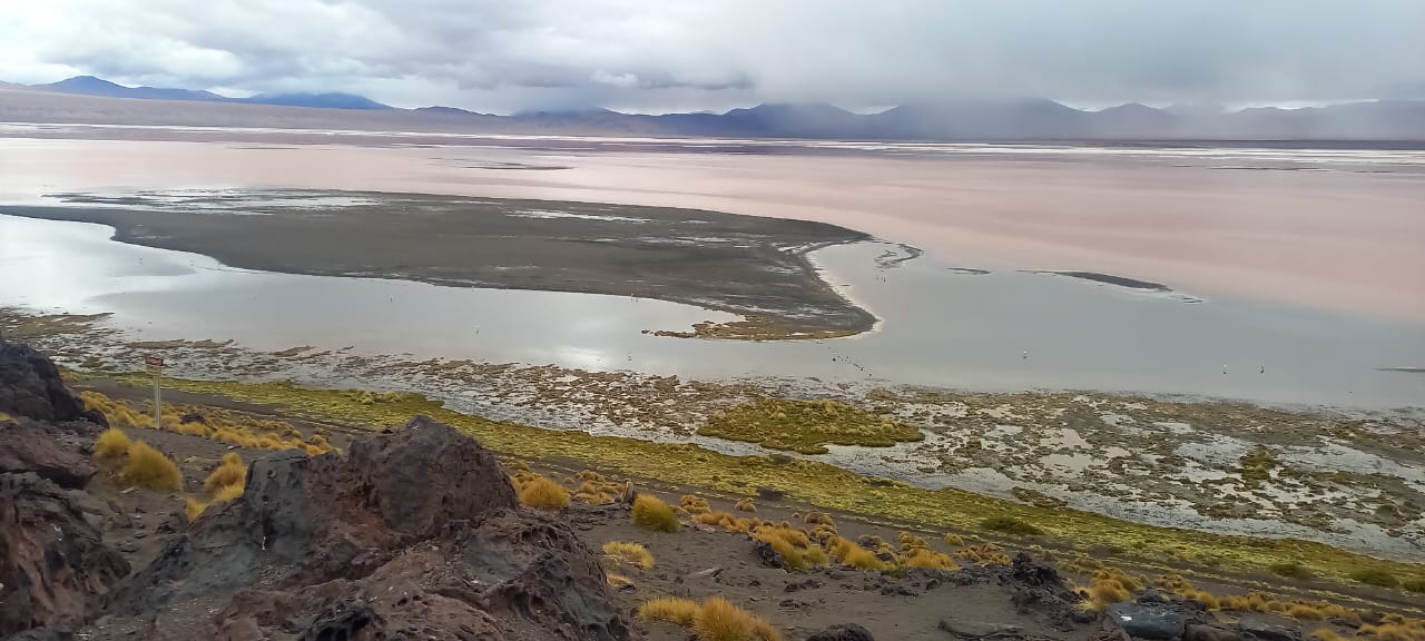 Lagoa Colorada na Bolívia