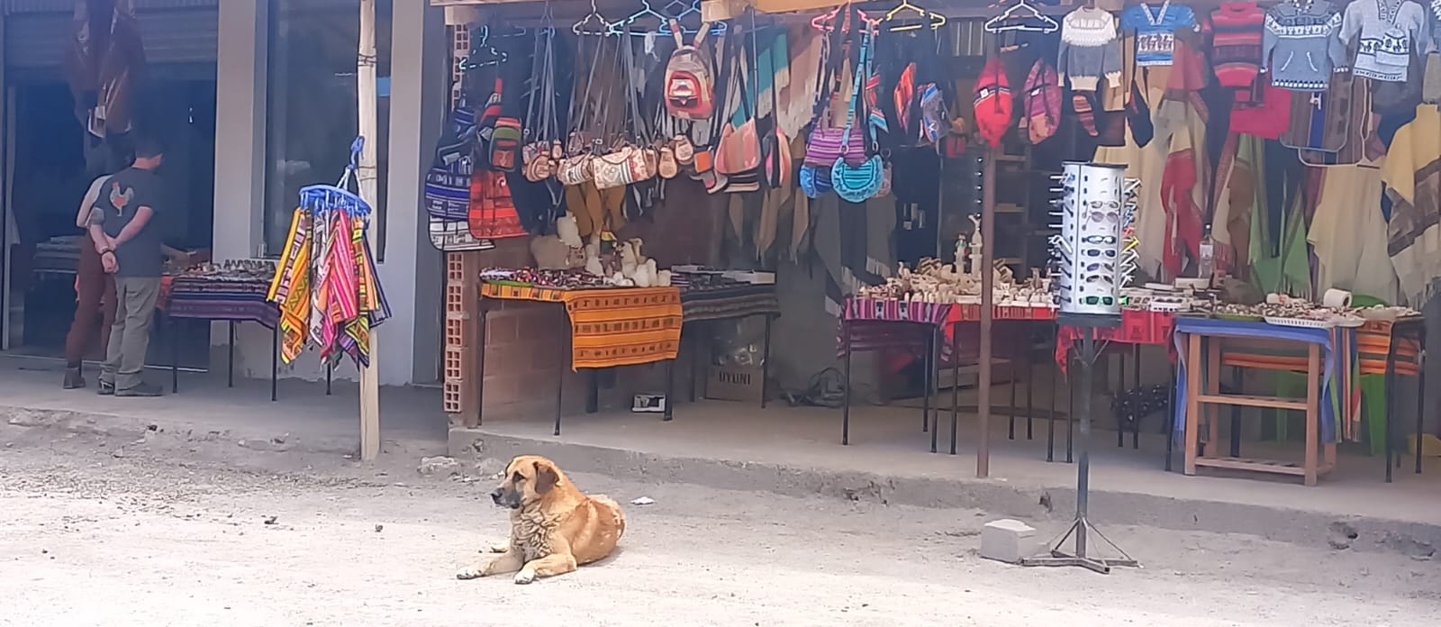 Tour Salar de Uyuni - feira de artesanato- Vila de Colchani