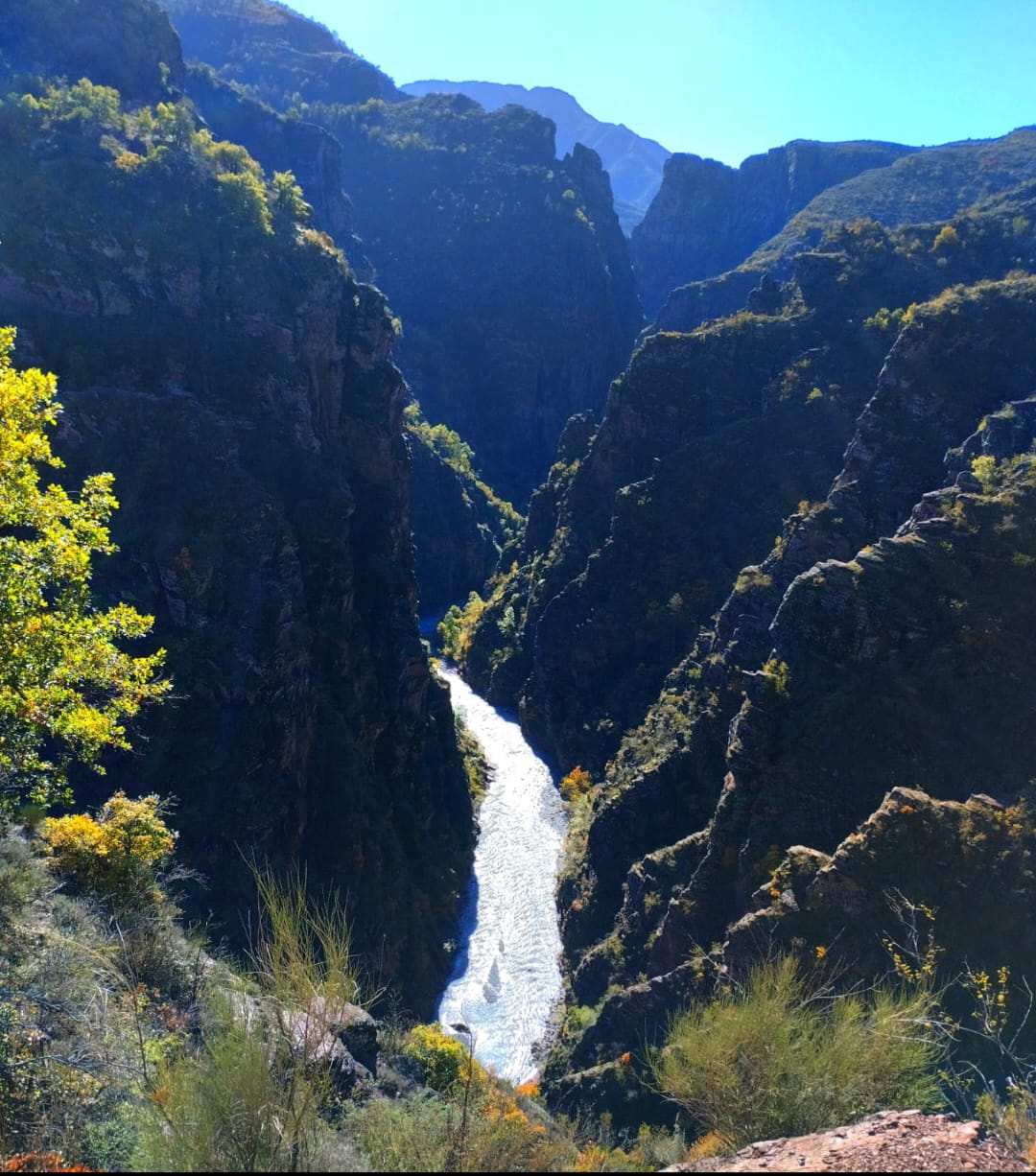 Gorges de Daluis