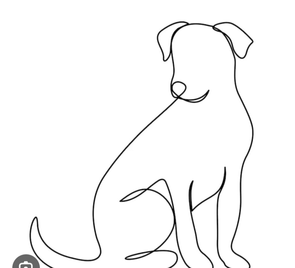 De Orelha na indignação na caminhada da reflexão